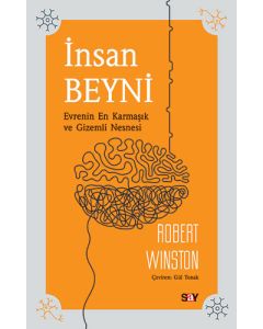 İnsan Beyni
