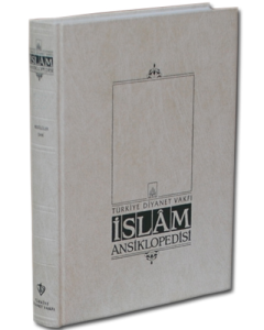 İslam Ansiklopedisi 38. Cilt (Ciltli)