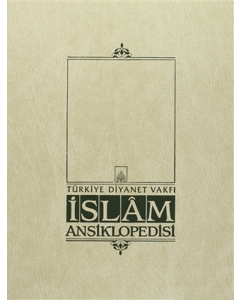 İslam Ansiklopedisi 39. Cilt (Ciltli)