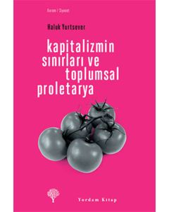 Kapitalizmin Sınırları ve Toplumsal Proletarya