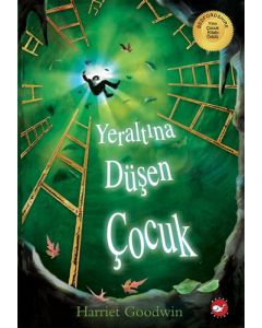 Yeraltına Düşen Çocuk