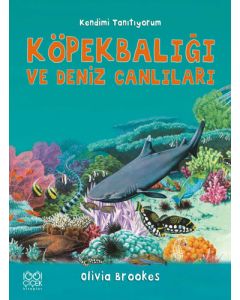 Köpekbalığı ve Deniz Canlıları