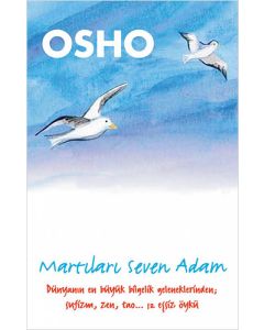 Martıları Seven Adam