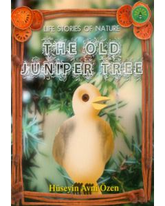 The Old Juniper Tree