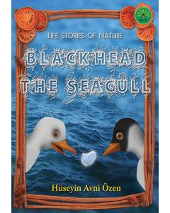 Black Head The Seagul