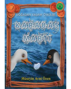 Karabaş Martı