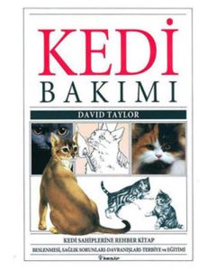Kedi Bakımı