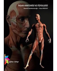 İnsan Anatomisi ve Fizyolojisi