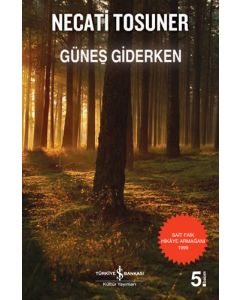 Güneş Giderken