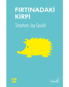 Fırtınadaki Kirpi