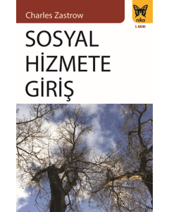 Sosyal Hizmete Giriş