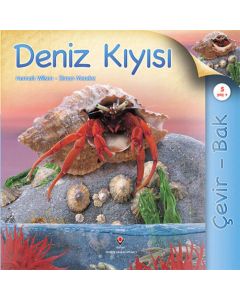 Çevir Bak - Deniz Kıyısı