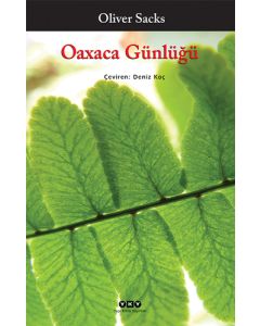 Oaxaca Günlüğü