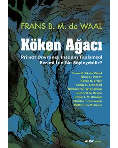 Köken Ağacı