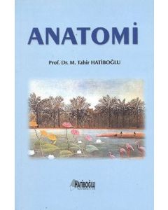 Anatomi
