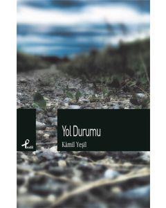 Yol Durumu