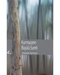 Kurmacanın Büyülü Sureti