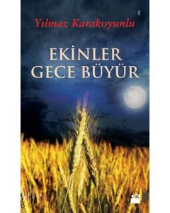 Ekinler Gece Büyür