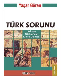 Türk Sorunu