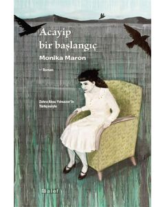 Acayip Bir Başlangıç