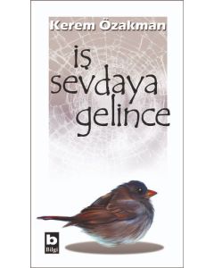 İş Sevdaya Gelince