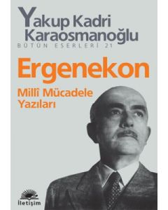 Ergenekon Milli Mücadele Yazıları