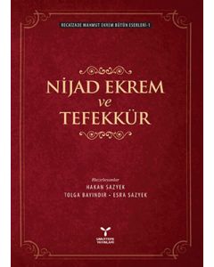 Nijad Ekrem ve Tefekkür