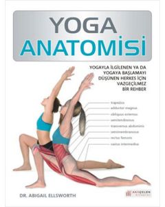 Yoga Anatomisi