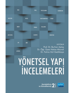 Yönetsel Yapı İncelemeleri