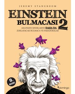 Einstein Bulmacası 2
