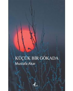 Küçük Bir Gökada