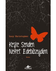 Keşke Senden Nefret Edebilseydim
