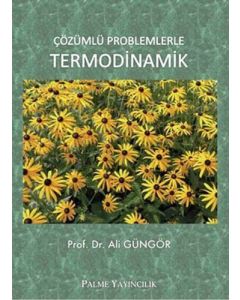 Çözümlü Problemlerle Termodinamik