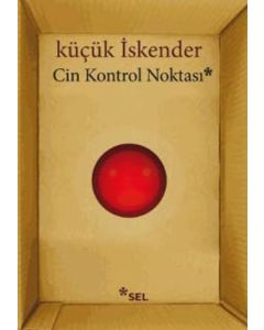 Cin Kontrol Noktası