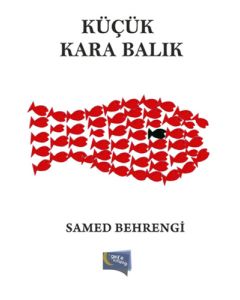Küçük Kara Balık