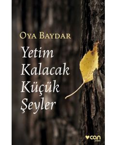 Yetim Kalacak Küçük Şeyler: An’lar Kitabı