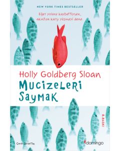 Mucizeleri Saymak