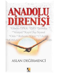 Anadolu Direnişi