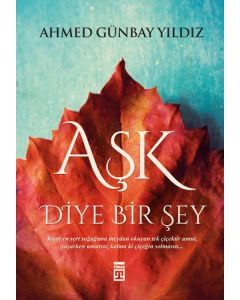 Aşk Diye Bir Şey