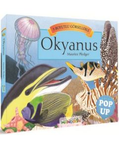 3D Okyanus Pop Up