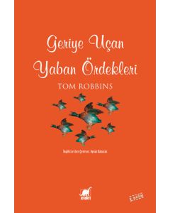 Geriye Uçan Yaban Ördekleri