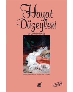 Hayat Düzeyleri