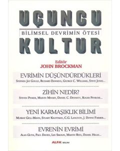 Üçüncü Kültür