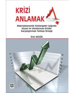 Krizi Anlamak