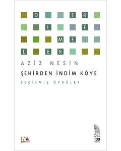 Şehirden İndim Köye