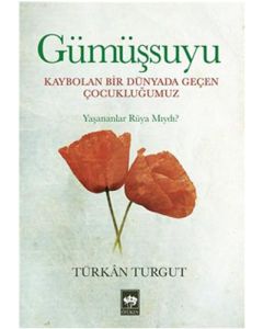 Gümüşsuyu