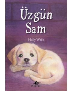 Üzgün Sam