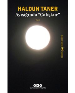 Ayışığında "Çalışkur"