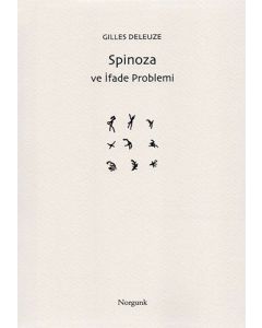 Spinoza ve İfade Problemi