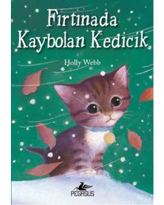 Fırtınada Kaybolan Kedicik